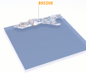 3d view of Bossue