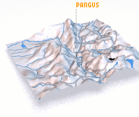 3d view of Pangus