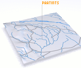 3d view of Paatints