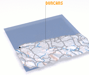 3d view of Duncans