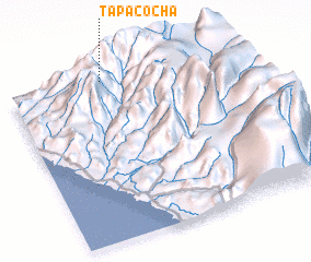 3d view of Tapacocha
