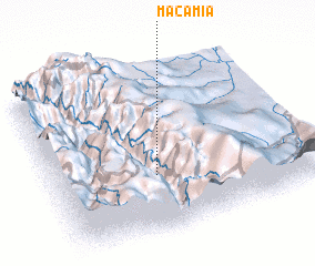 3d view of Macamia