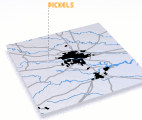 3d view of Pickels