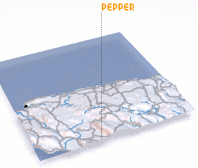 3d view of Pepper