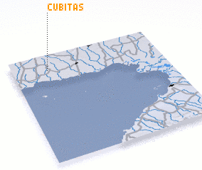 3d view of Cubitas