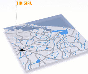 3d view of Tibisial