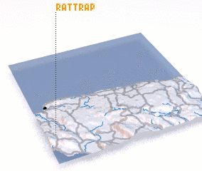 3d view of Rat Trap