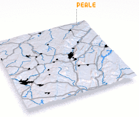 3d view of Peale