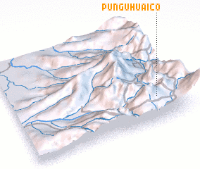 3d view of Punguhuaico
