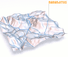 3d view of Naranjitos