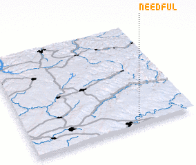 3d view of Needful