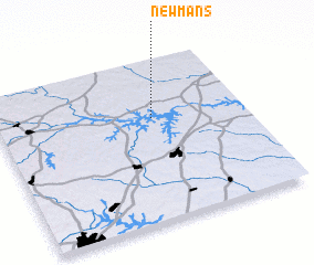 3d view of Newmans