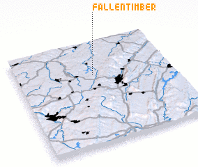 3d view of Fallentimber