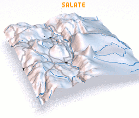 3d view of Salate