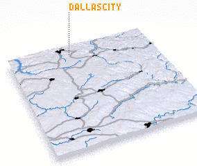 3d view of Dallas City