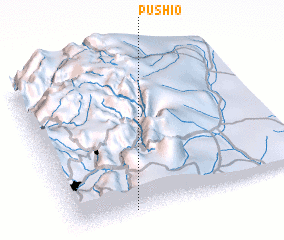 3d view of Pushio