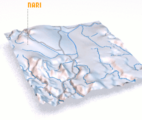 3d view of Nari