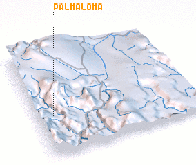 3d view of Palmaloma