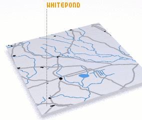 3d view of White Pond
