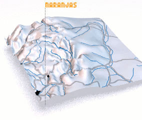 3d view of Naranjas