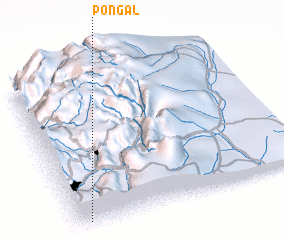 3d view of Pongal