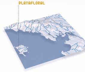 3d view of Playa Floral