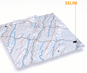 3d view of Selma