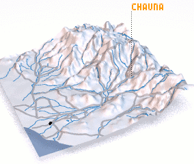 3d view of Chauna