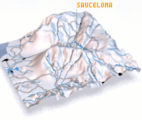 3d view of Sauceloma