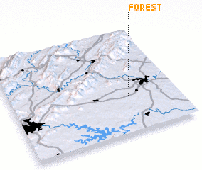 3d view of Forest