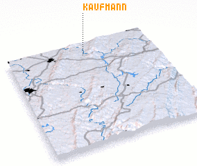 3d view of Kaufmann