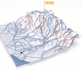 3d view of Taime