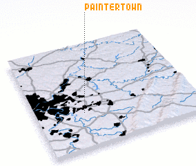3d view of Paintertown