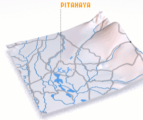 3d view of Pitahaya