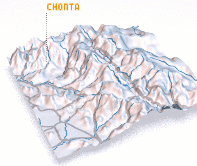 3d view of Chonta