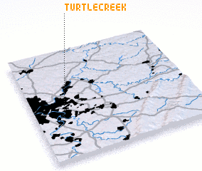 3d view of Turtle Creek