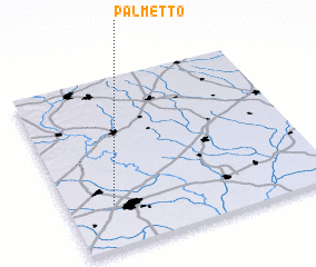 3d view of Palmetto