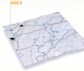 3d view of Ronco