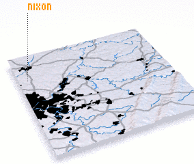 3d view of Nixon