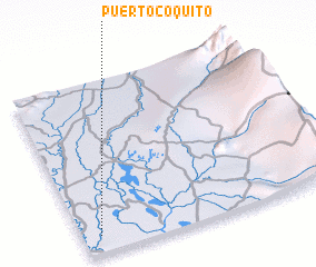 3d view of Puerto Coquito