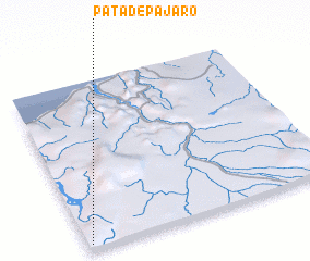 3d view of Pata de Pájaro