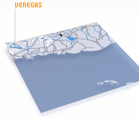 3d view of Venegas