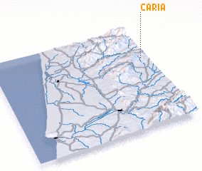 3d view of Caria