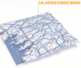 3d view of Calvos de Sobre Camino