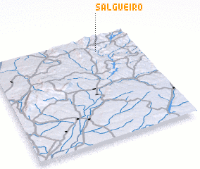 3d view of Salgueiro