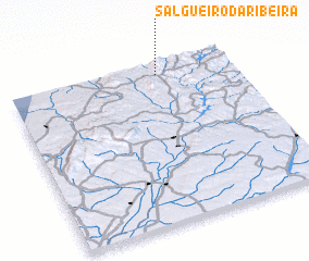 3d view of Salgueiro da Ribeira