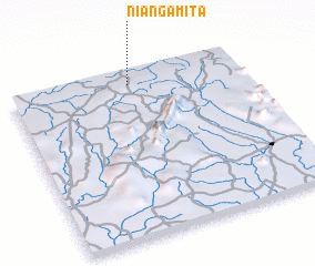 3d view of Niangamita