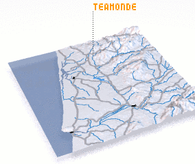 3d view of Teamonde