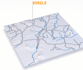 3d view of Bongle