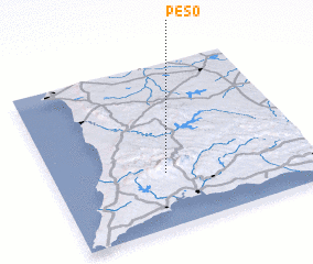 3d view of Peso